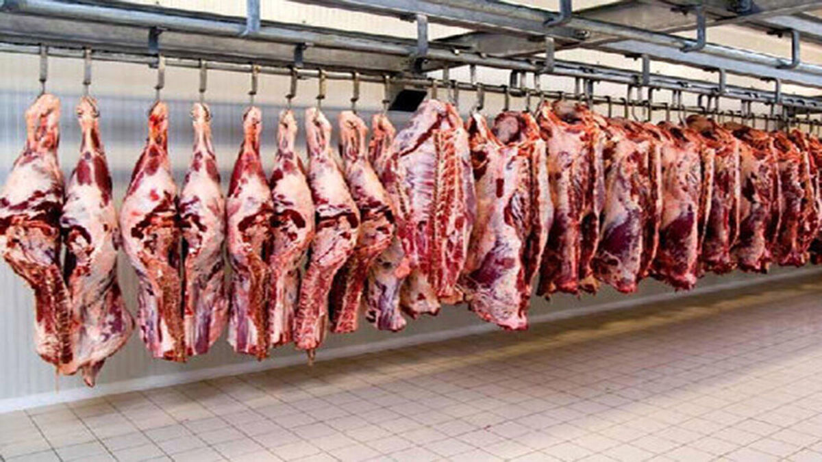 توزیع و عرضه گوشت با نرخ مصوب از ابتدای اسفند