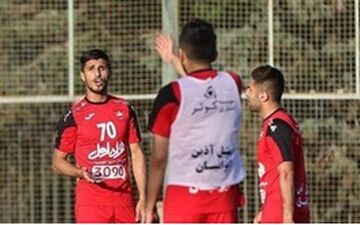  علیپور: از اسطوره پرسپولیس معذرت می‌خواهیم