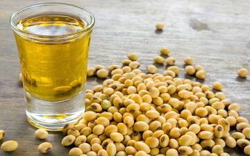 سلول های چربی را با این خوراکی ها از بین ببرید
