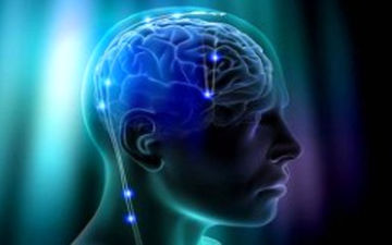 زنان مغز کارآمدی تری دارند یا مردان؟