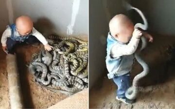بازی کودک خردسال چینی با مارها! + فیلم