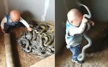 بازی کودک خردسال چینی با مارها! +فیلم 