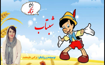 آدم چوبی و رمز و رازهای دستیابی به موفقیت 