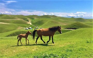 بهترین مکان‌های دیدنی ایران در فصل بهار که از دست دادنشان حیف است