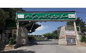 کسب رتبه اول کشوری اقدامات آموزشی،ترویجی و مشارکتی توسط  اداره‌کل منابع‌طبیعی استان کرمانشاه



