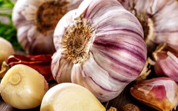 سم زدایی بدن با این گیاه پرخاصیت

