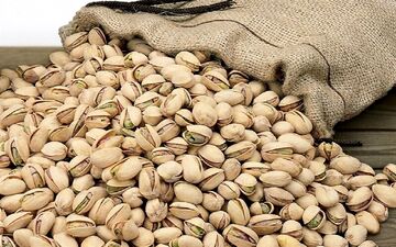 کاهش ۳۹ درصدی صادرات پسته ایران  به اتحادیه اروپا