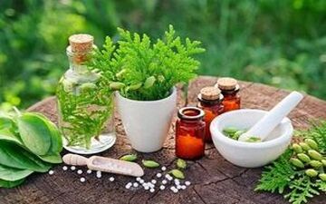 
گیاهی دارویی برای درمان بی‌اختیاری ادرار 