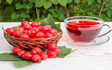 درمان سرفه و عفونت های ریه با این میوه پاییزی
