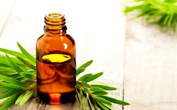 بهترین روغن ماساژ نوزادتان در تابستان و زمستان
