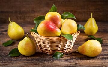  ۷ خاصیت مهم گلابی برای بدن؛ از رفع یبوست تا کمک به کنترل وزن