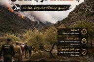 نبرد ۶ ساعته با شعله‌ها در بختگان؛ آتش‌سوزی پناهگاه حیات‌وحش مهار شد