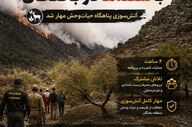 نبرد ۶ ساعته با شعله‌ها در بختگان؛ آتش‌سوزی پناهگاه حیات‌وحش مهار شد